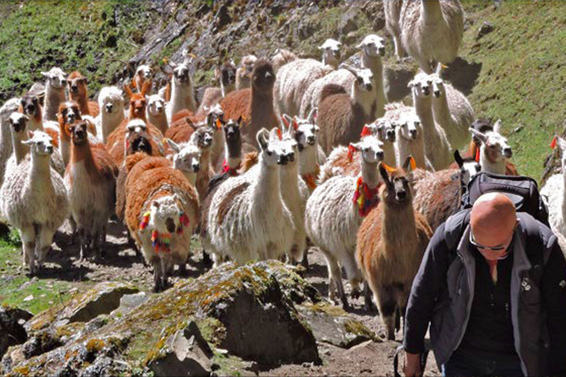 Abra de Malaga