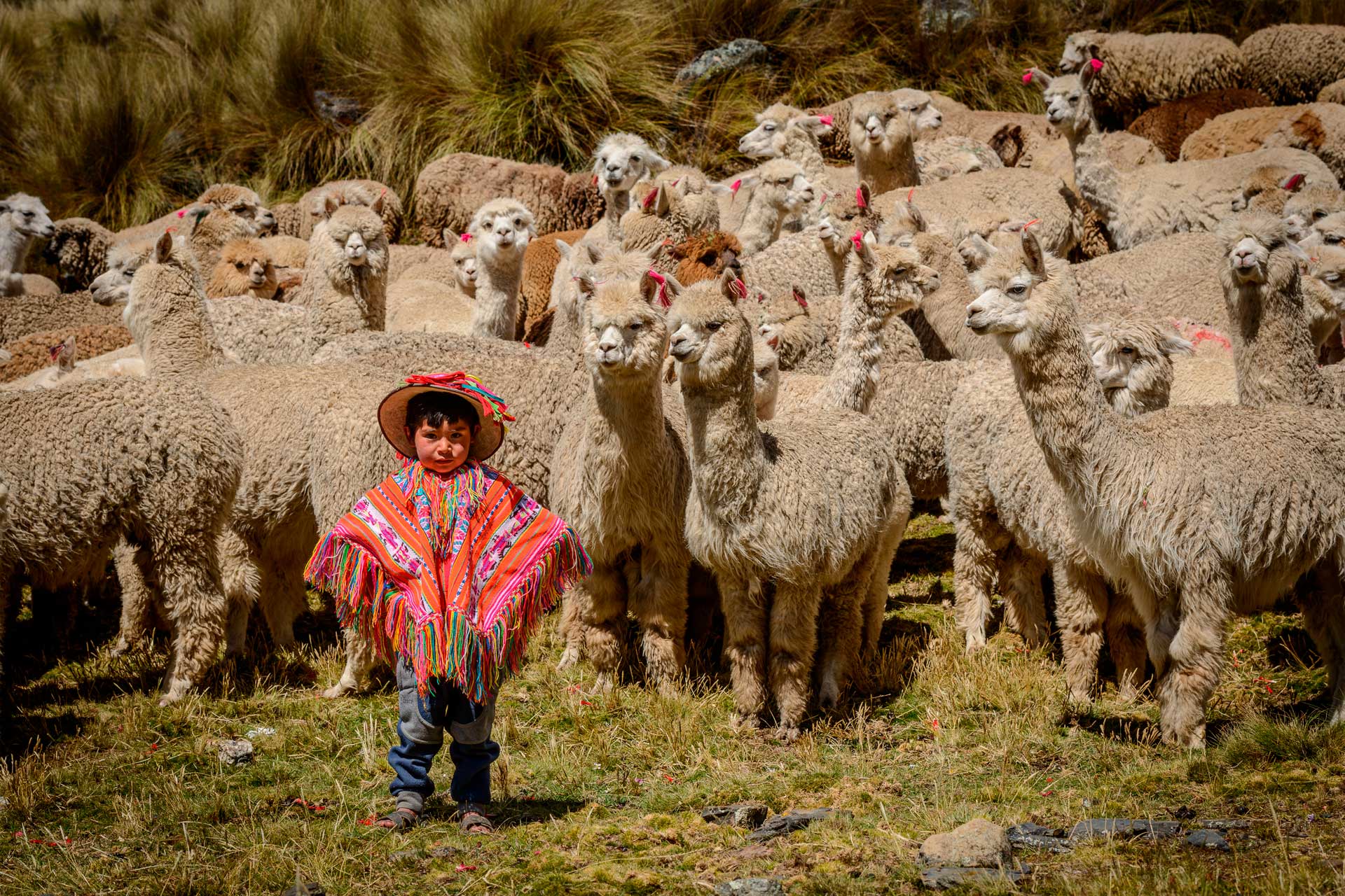 diversidad