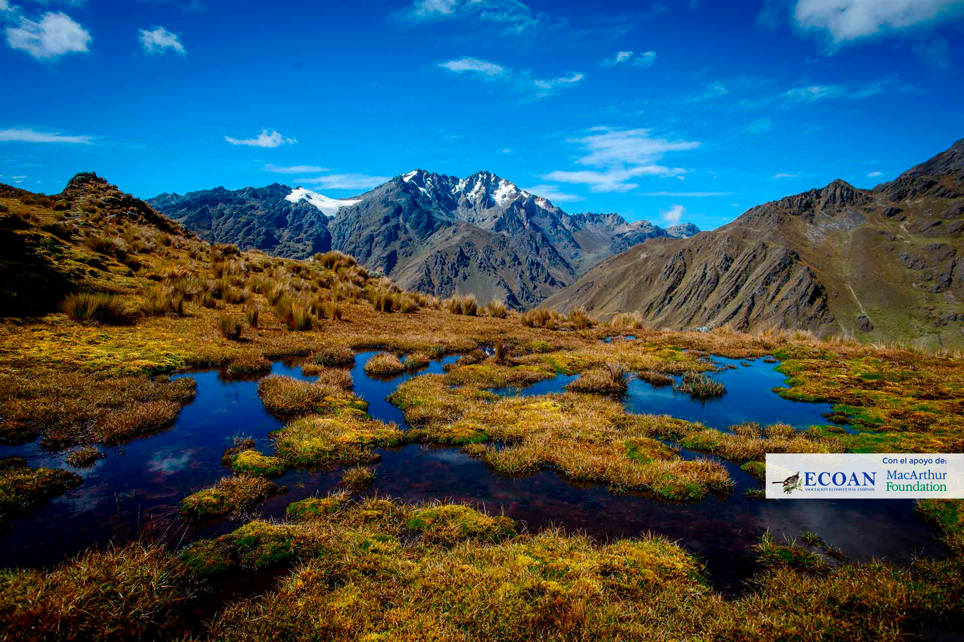 nature slider