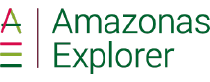 logo 9